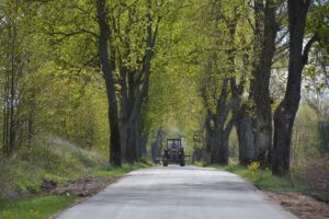 Nowa nawierzchnia na drodze Cichy – Duły. Po obu stronach szpaler drzew