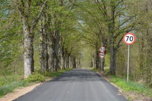 Nowa nawierzchnia na drodze Cichy – Duły. Po obu stronach szpaler drzew.