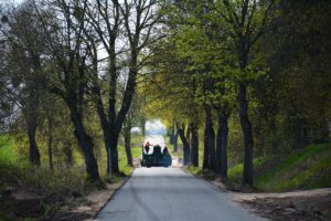 Maszyna do układania mieszanki asfaltowej na drodze Cichy – Duły