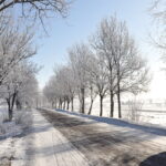 Auto na zaśnieżonej drodze. Po obu stronach rzędy drzew.