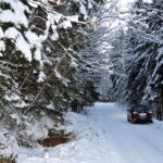 Auto na zaśnieżonej drodze. Wokół las iglasty.
